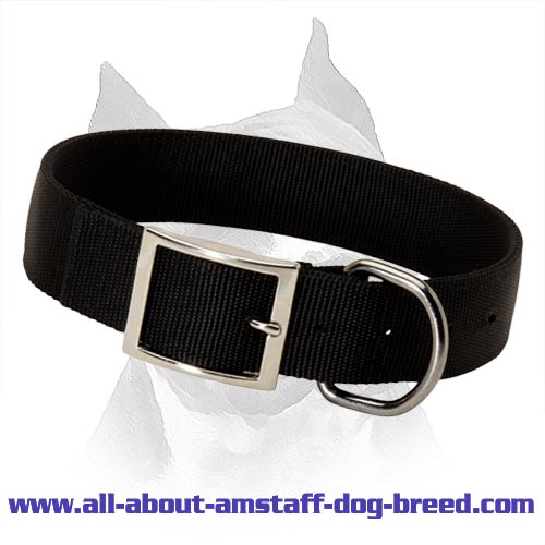Durable All Weather Nylon Dog Collar For Amstaff