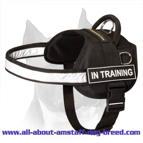 Reflective Amstaff Breed Nylon Dog Harness For Easy Tracking