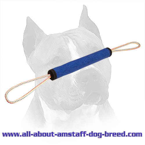 French Linen Amstaff Puppy Play Roll