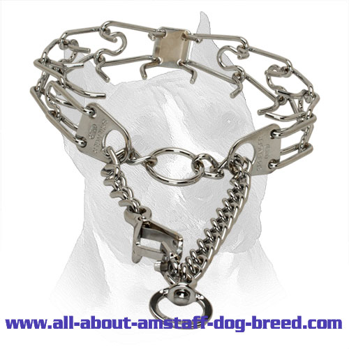 prong collar links