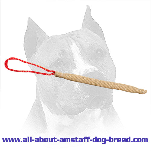 Jute Amstaff Pocket Toy for Puppy Bite Skills Development