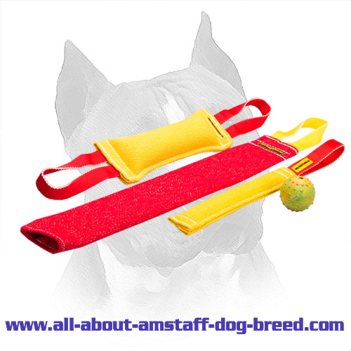 Amstaff Puppy Training Set With Great Training Toy For Free