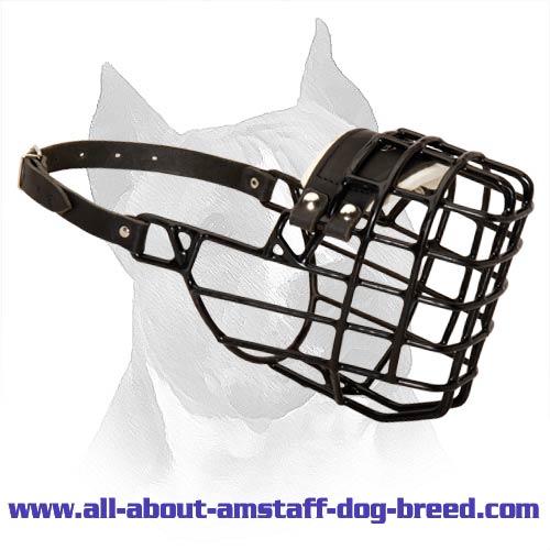 Amstaff Wire Dog Muzzle For Winter Season With Black Rubber Cover
