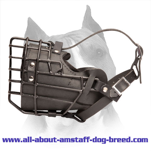 Rubber Covered Amstaff Wire Basket Dog Muzzle