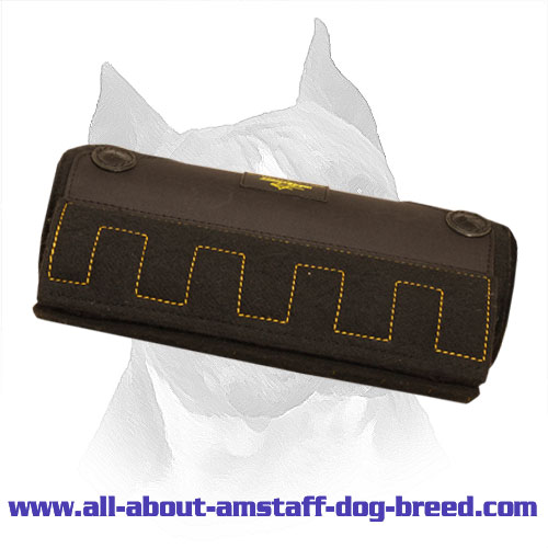 Innovative Amstaff Bite X-Builder for Puppies and Young Dogs
