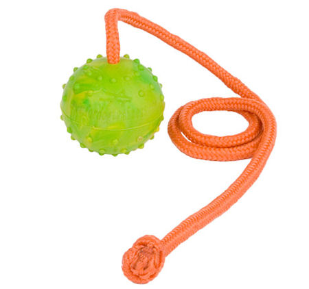 Training DOG BALL on a String-Dog Rubber Ball for Amstaff