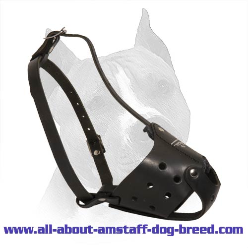 Leather muzzle discount
