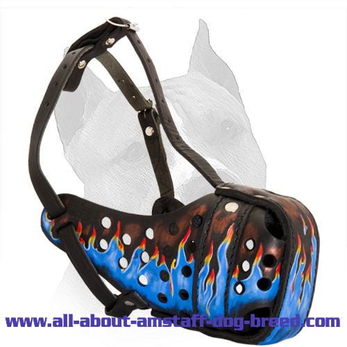 Durable Leather Amstaff Dog Muzzle With Modern Decoration