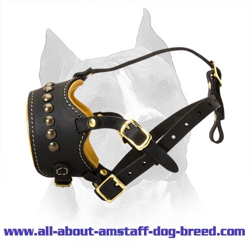 Decorated Nappa Leather Amstaff Dog Muzzle