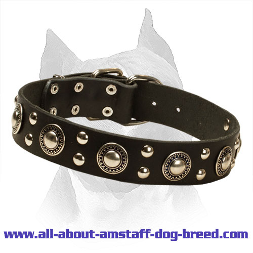 'Rock n Roll' Leather Amstaff Collar with Antique Design