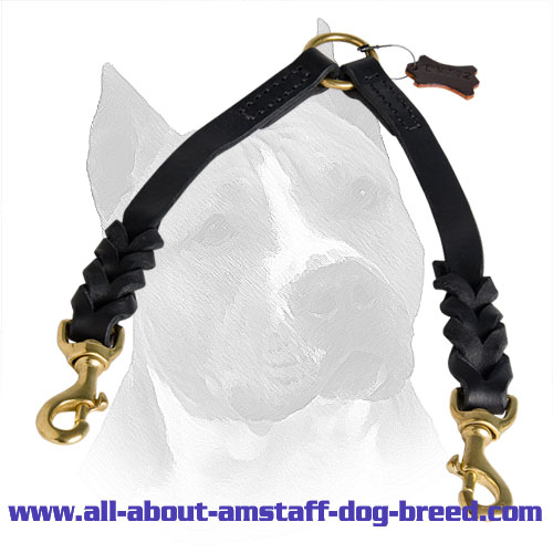 Fancy Leather Amstaff Coupler with Elegant French Braids
