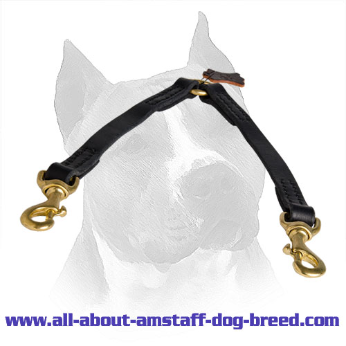 Carefully Stitched Leather Amstaff Coupler for Safe Walking Two Dogs
