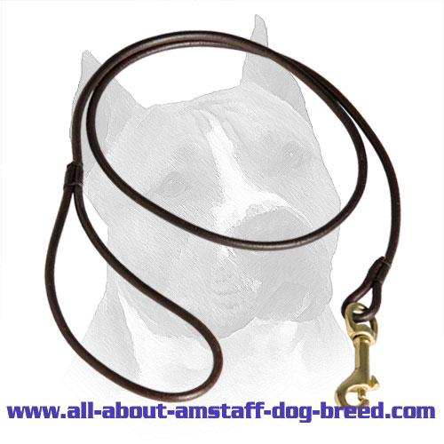 Elegant Round Leather Amstaff Lead for Dog Shows
