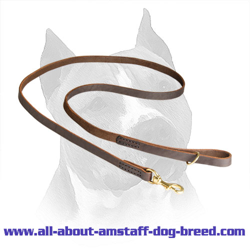 Super Convenient Amstaff Lead Made of Carefully Stitched Leather