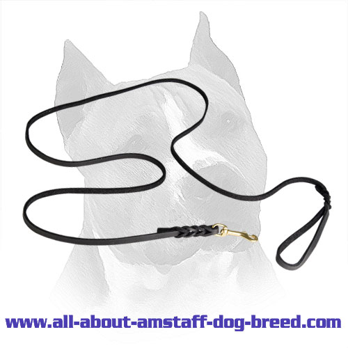 Marvelous Leather Amstaff Leash with Braided Ends