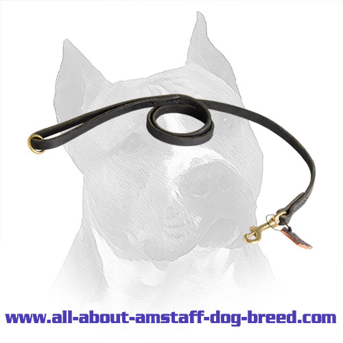 Multitasking Leather Amstaff Leash for Comfy Handling