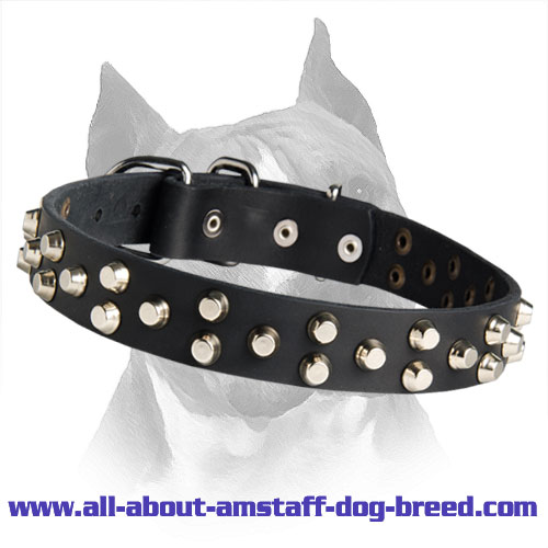 Custom Amstaff Leather Dog Collar With 3 Rows Of Small Pyramids