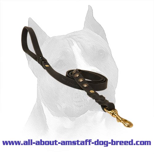 Walking And Tracking Amstaff Leather Dog Leash With Brass Studded Decoration