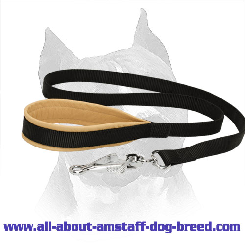 Nylon Amstaff Leash with Intense Padded Handle