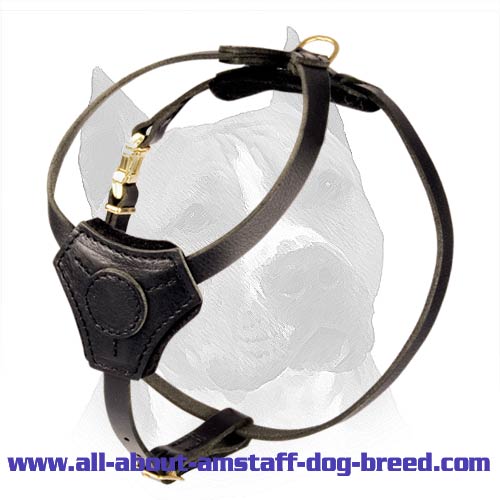 Small Leather Dog Harness for Amstaff Puppy