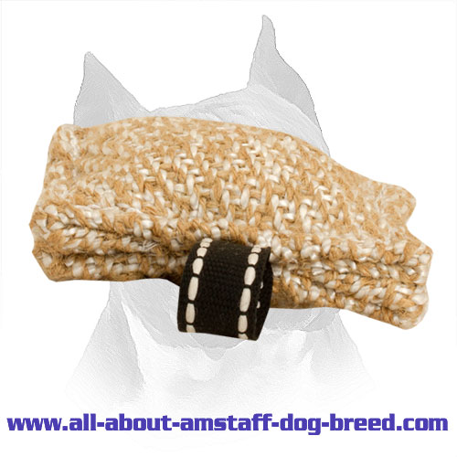 Pocket-Size Bite Tug for Training Amstaff Puppies