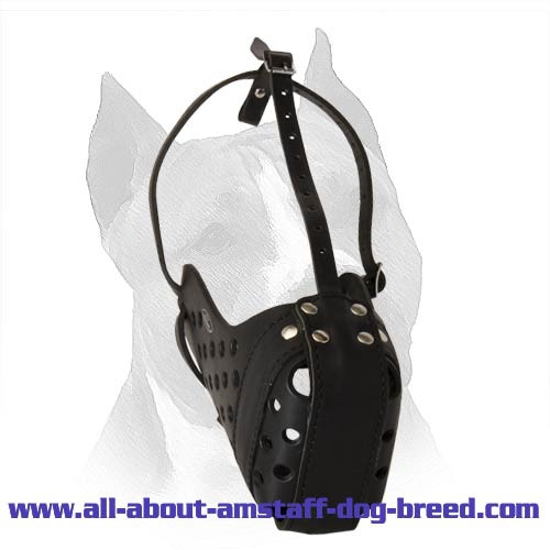 All In All Training Leather Dog Muzzle For Winners