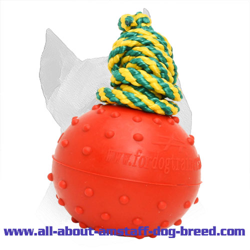 Durable Rubber Amstaff Water Ball for Training - Medium