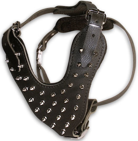 leather dog harness