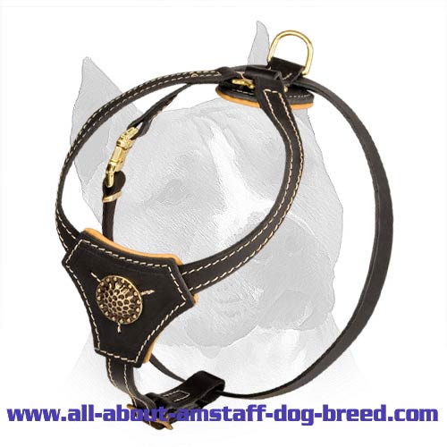 Tracking Nappa Padded Leather Dog Harness For Puppy