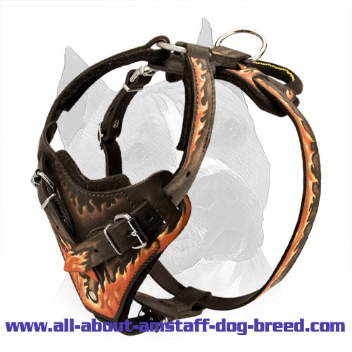Extraordinary Blue Flame Painted Leather Amstaff Dog Harness - Click Image to Close