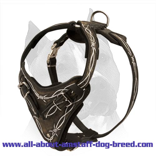 Barbed Wire American Staffordshire Terrier Dog Harness