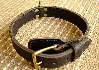 Two ply leather agitation dog collar for Amstaff dog