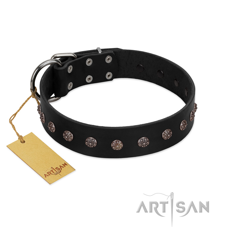 "Flower Rhapsody" FDT Artisan Premium Quaulity Black Leather Amstaff Collar