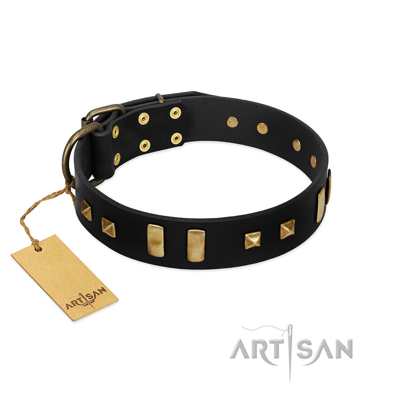 "Fit for Royalty" FDT Artisan Black Leather Amstaff Collar with Plates and Small Square Studs