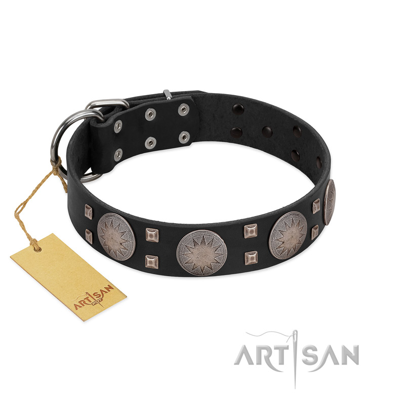 "Sun in Shining" Modern FDT Artisan Black Leather Amstaff Collar with Studs and Stars