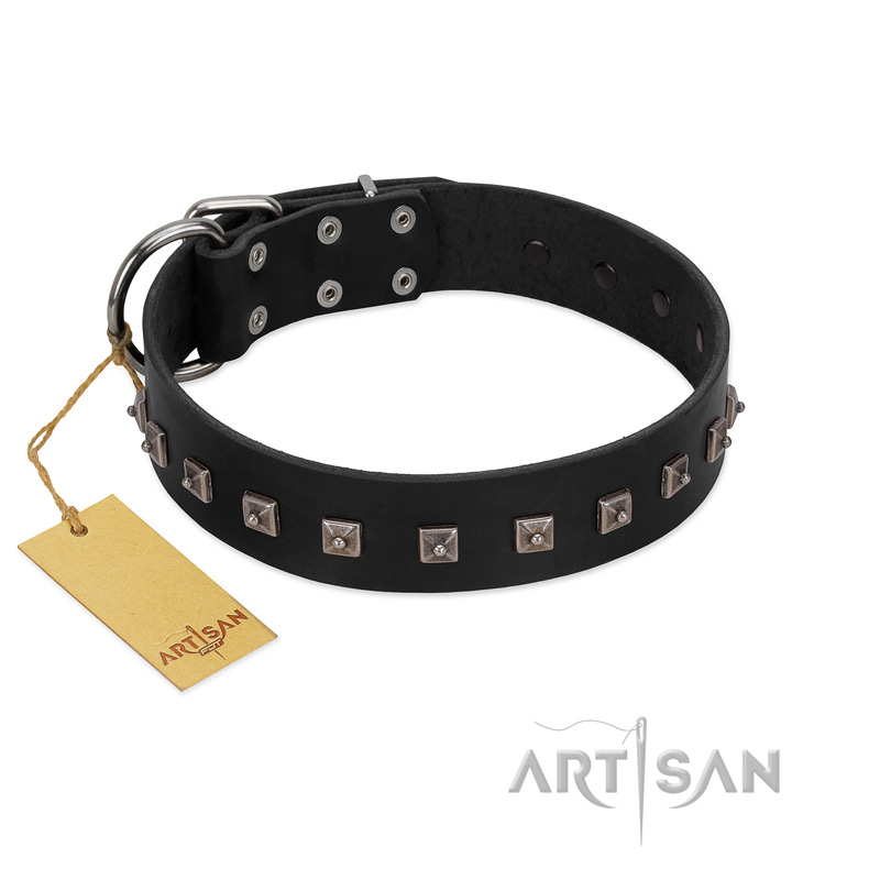 "Natural Beauty" Premium Quality FDT Artisan Black Designer Amstaff Collar with Dotted Studs
