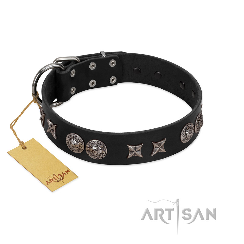 "Scythian Silver" Stylish Handmade FDT Artisan Black Leather Amstaff Collar