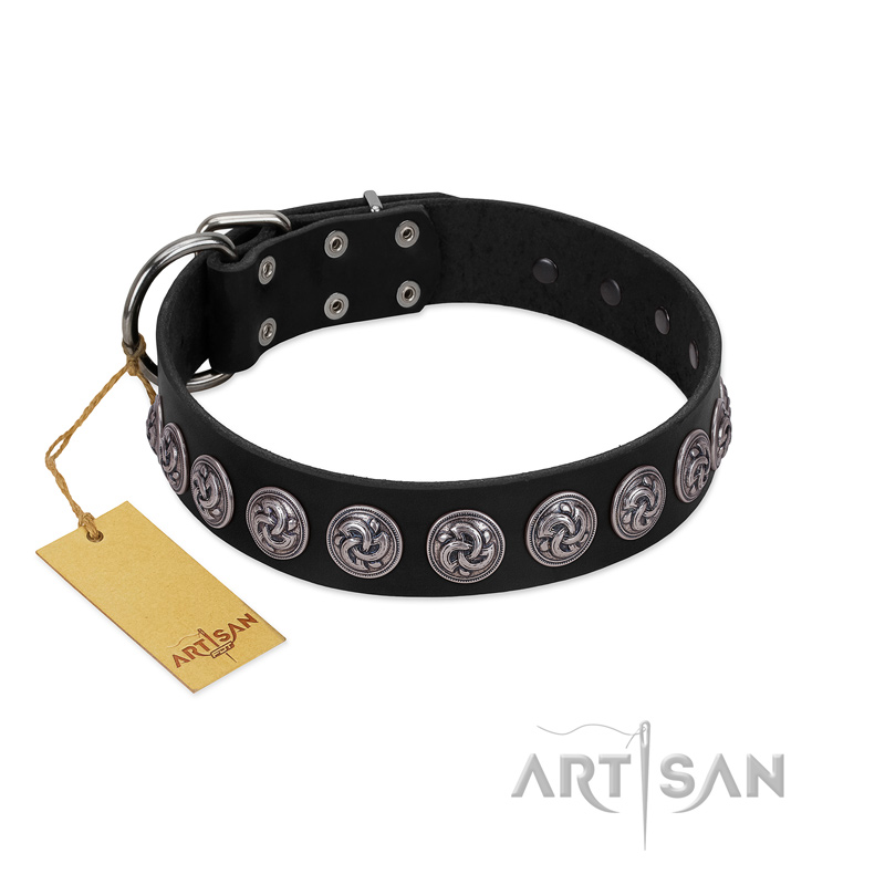 "Black Raven" Handmade FDT Artisan Black Leather Amstaff Collar with Silver-Like Adornments