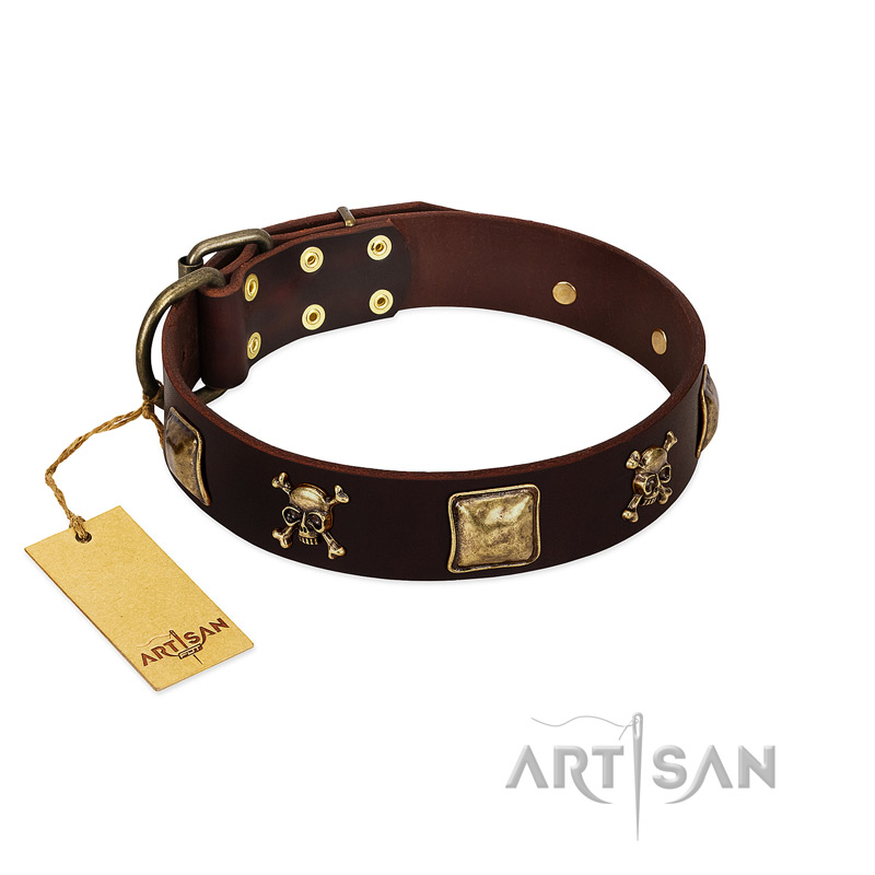 "Crazy Pirate" FDT Artisan Brown Leather Amstaff Collar with Old Bronze-Plated Skulls and Plates