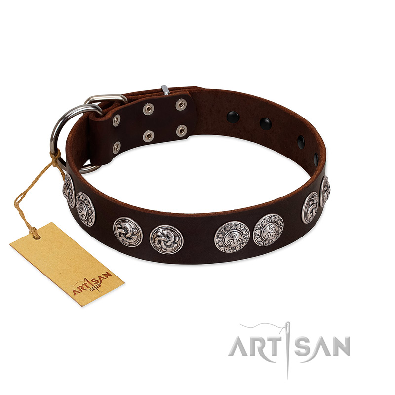"High and Mighty" FDT Artisan Classy Brown Leather Amstaff Collar with Embellished Brooches