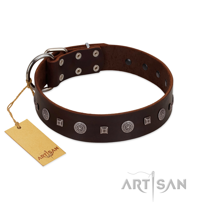 "Pure Sensation" Exclusive FDT Artisan Brown Leather Amstaff Collar with Fancy Brooches and Studs