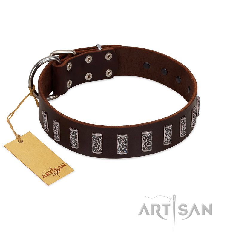 "Brown Lace" Handmade FDT Artisan Brown Leather Amstaff Collar for Everyday Walks