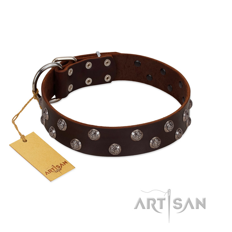 "Blossom Jewel" FDT Artisan Brown Leather Amstaff Collar with Two Rows of Silver-like Studs with Engraved Flowers