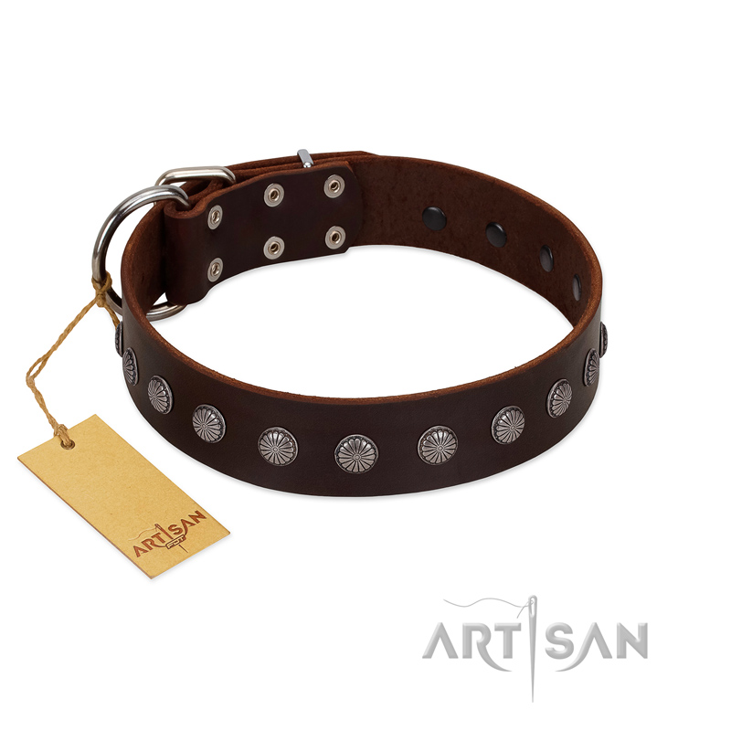 "Spring Flower" Stylish FDT Artisan Brown Leather Amstaff Collar for Comfy Walks