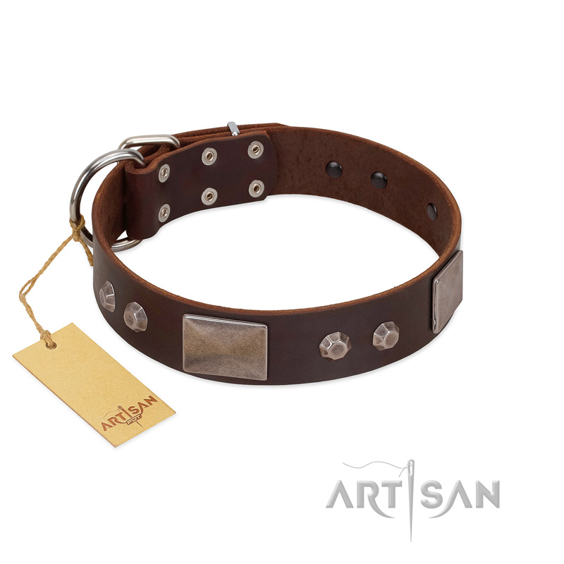 "Stone Stars" Stylish Handmade FDT Artisan Brown Leather Amstaff Collar
