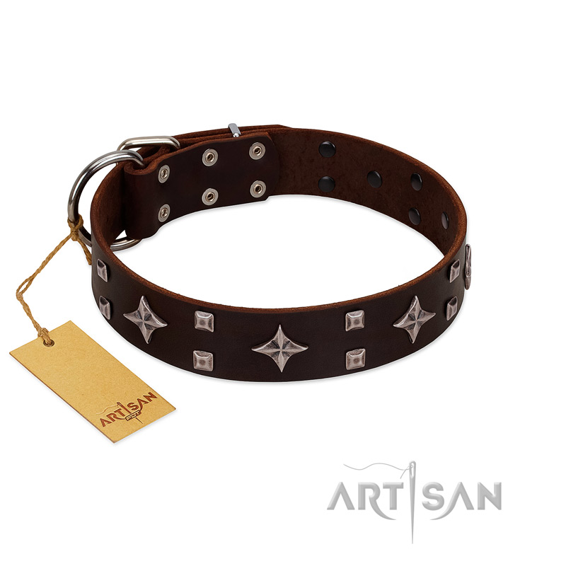 "Trendy Candy" FDT Artisan Brown Leather Amstaff Collar Adorned with Stars and Tiny Squares