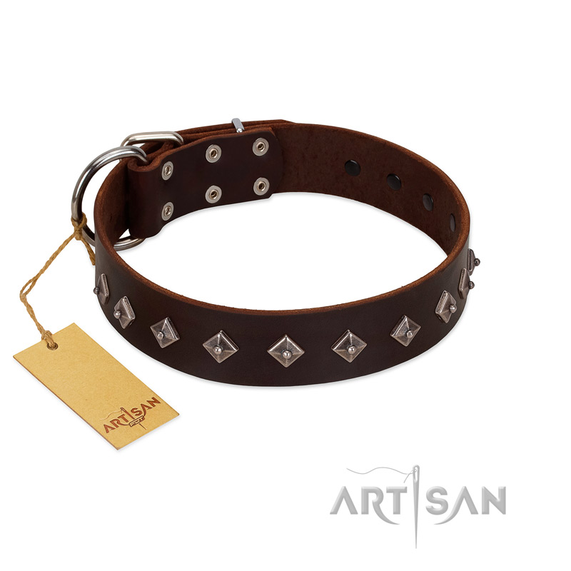 "Boundless Energy" Premium Quality FDT Artisan Brown Designer Leather Amstaff Collar with Small Pyramids