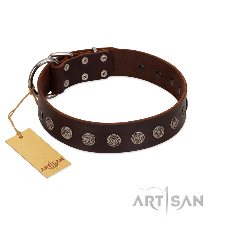 "Starry-Eyed" Best Quality FDT Artisan Brown Designer Leather Amstaff Collar with Small Plates