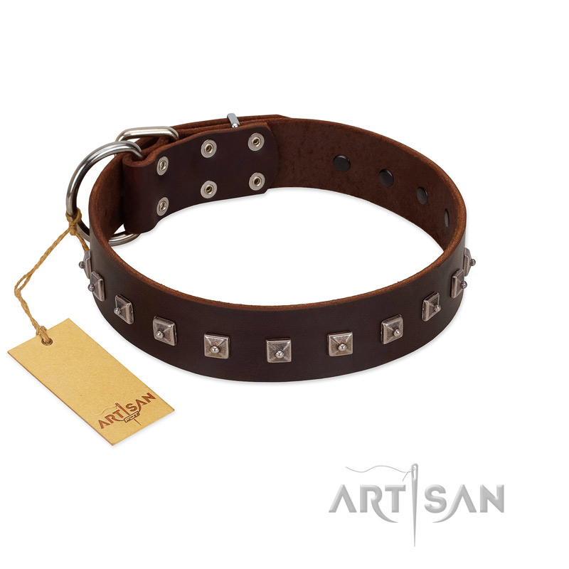 "Kingly Grace" FDT Artisan Brown Leather Amstaff Collar with Silver-like Dotted Studs