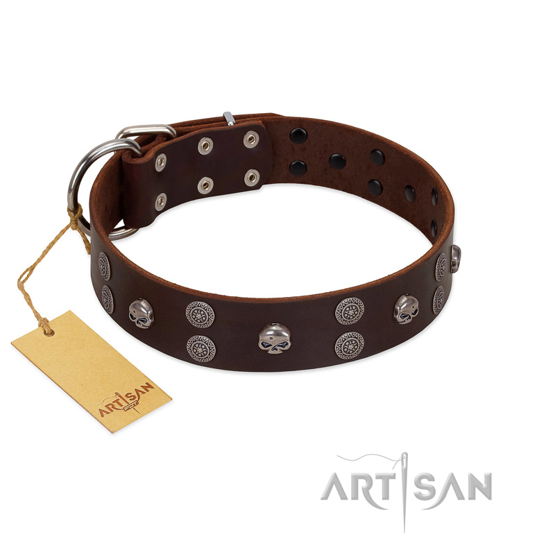 "Skull Valley" Handcrafted FDT Artisan Brown Leather Amstaff Collar with Skulls